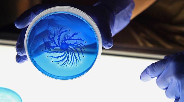 milieux-events-SpecualtiveLife-Nurit