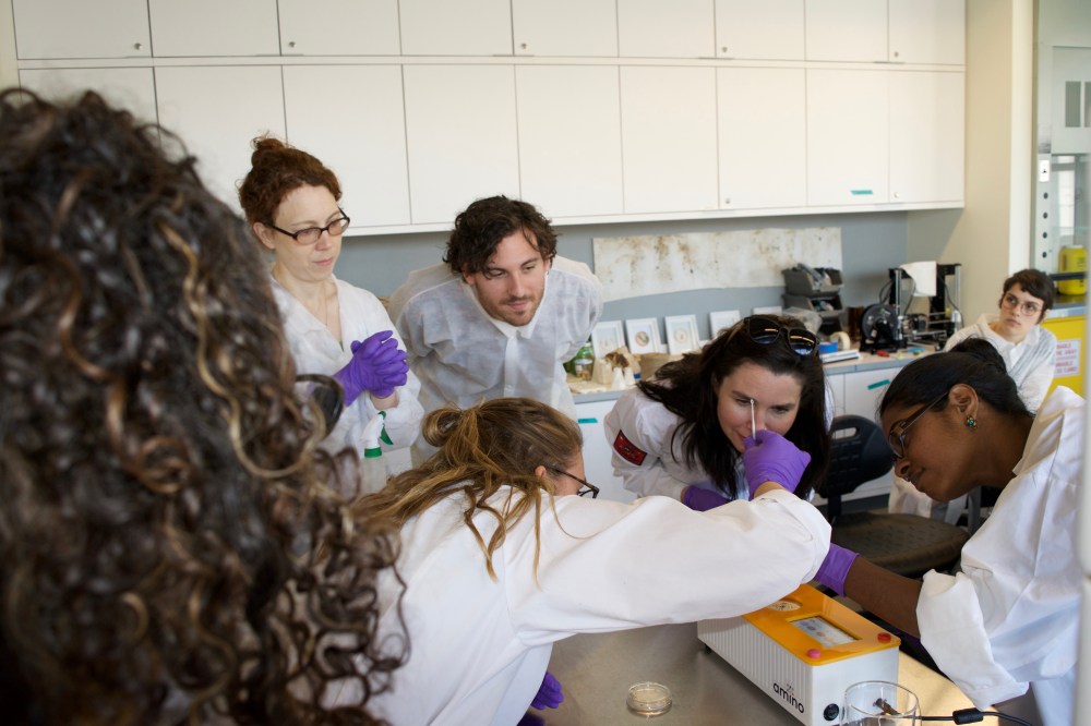 35170475744_51faf181bb_o