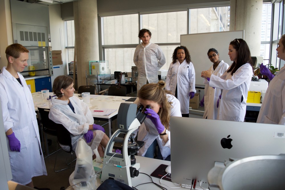 35199520893_994d8056d5_o